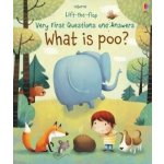 What is Poo? - Katie Daynes, Marta Alvarez Miguens (ilustrácie) – Zboží Dáma