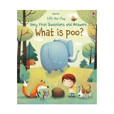 What is Poo? - Katie Daynes, Marta Alvarez Miguens (ilustrácie) – Zboží Dáma