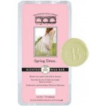 Bridgewater Candle Company vonný vosk do aroma lampy Spring Dress 73 g – Zboží Dáma
