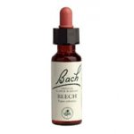 Bachovy květové esence Buk lesní Beech 20 ml – Hledejceny.cz