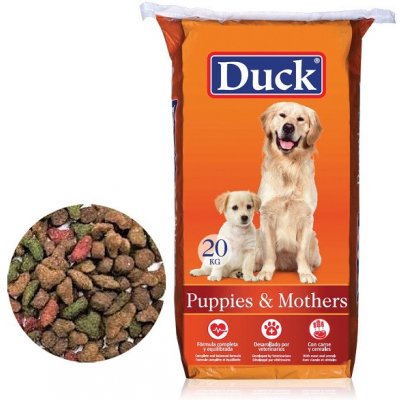 Duck Dog Puppies Mothers 20 kg