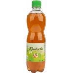 Stevikom bio Kombucha zázvorová s meduňkou 0,5 l – Zbozi.Blesk.cz