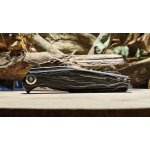 Scandinoff Raven - Nordic Night - SCA-RAV-NN – Zboží Dáma