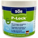 Soll AlgaeStop P-Lock 500 g – Hledejceny.cz