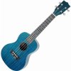 Tanglewood TWT 3