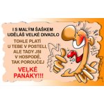 Průkaz I smalým šaškem uděláš velké – Hledejceny.cz