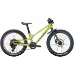 Trek Wahoo 2024 – Zboží Dáma