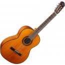 TAKAMINE GC3