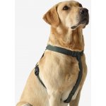 SOLOGNAC Postroj pro psa – Zboží Mobilmania