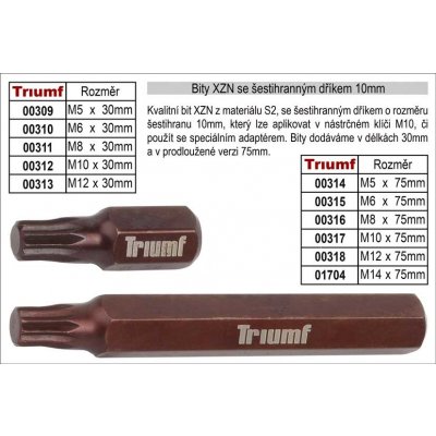 TRIUMF PROFESSIONAL Bit XZN M12 se šestihranným dříkem 10mm, prodloužený délka 75mm