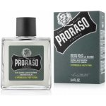 Proraso Cypress and Vetyver balzám na vousy 100 ml – Zboží Mobilmania