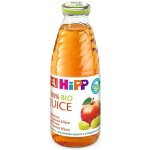 HiPP BIO Jablečno-hroznová 500 ml – Zboží Dáma