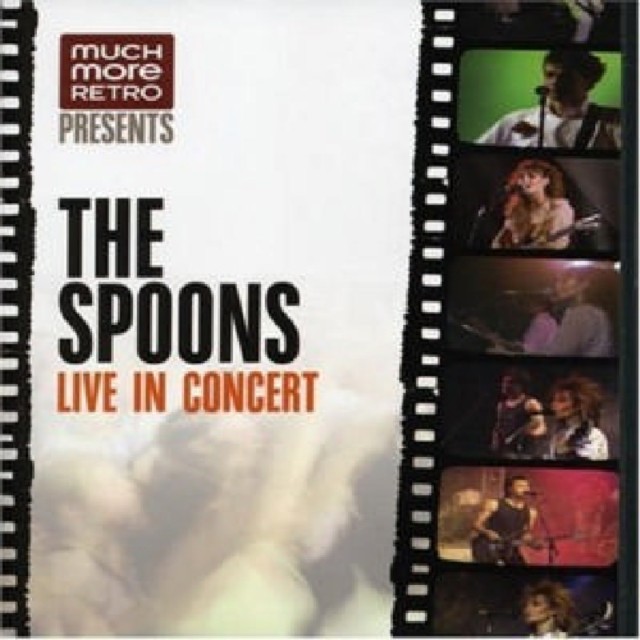 Spoons: Live in Concert DVD