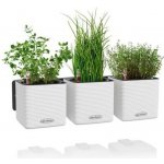 Lechuza Green Wall Color bílá 3 květináče cube color 14 na zeď – HobbyKompas.cz