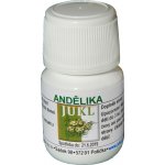 Jukl tinktura Andělika 30 ml – Hledejceny.cz