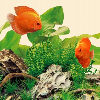 Juwel osvětlení Nature LED 895 mm, 17 W – Zboží Dáma