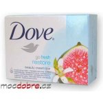 Dove Go Fresh Restore toaletní mýdlo 100 g – Hledejceny.cz