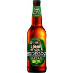 Radegast 10 RATAR s vyšší hořkostí 4,4% 0,5 l (sklo) – Zboží Dáma