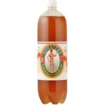 Stevikom Kombucha Green Tea 2 l – Zbozi.Blesk.cz