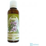 Naděje Podhorná Koloben 50 ml – Hledejceny.cz