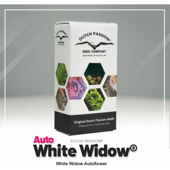 Dutch Passion Auto White Widow semena neobsahují THC 7 ks