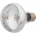 Repti Planet Daylight Basking Spot 100 W 007-41004 – Hledejceny.cz