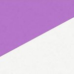 A.S. Création 953131 vliesová tapeta na zeď Meistervlies rozměry 0,75 x 25 m – Zbozi.Blesk.cz