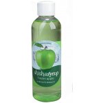 ShishaSyrup Melasa Ledové jablko 100 ml – Zboží Dáma