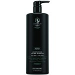 Paul Mitchell Awapuhi Wild Ginger Moisturizing Lather Shampoo 1000 ml – Zbozi.Blesk.cz