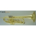 CarolBrass CTR-2000H-YSS s pouzdrem – Zboží Dáma