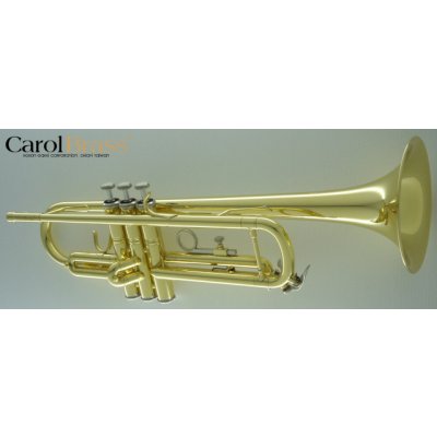 CarolBrass CTR-2000H-YSS s pouzdrem – Zboží Dáma