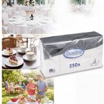 Wimex ubrousky 2V bílé 1/8 skládání 250ks 33x33cm – Hledejceny.cz