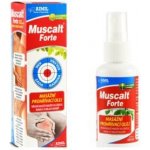 Aimil Muscalt Forte masážní prohřívací olej 60 ml – Zbozi.Blesk.cz