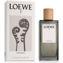 Parfém Loewe 7 Loewe Anonimo parfémovaná voda pánská 100 ml