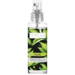 Ryor Osvěžující mlha s vůní zeleného čaje Matcha 100 ml – Hledejceny.cz