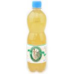 Stevikon kombucha hloh 0,5 l – Zboží Dáma