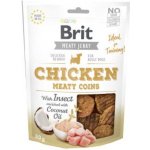 Brit Dog Jerky Chicken with Insect Meaty Coins 80 g – Hledejceny.cz