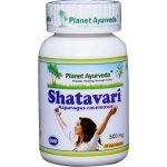 Planet Ayurveda Shatavari extrakt 4:1 500 mg 60 kapslí – Hledejceny.cz