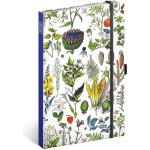 Kateřina Winterová Notes Bylinky tečkovaný 13 x 21 cm – Hledejceny.cz