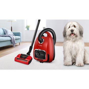 Bosch BGL6PET1