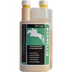 Dromy BOSWELLIA Serrata liq. 1000 ml – Sleviste.cz
