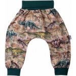 Esito Dětské tepláky Dino prales zelená – Zboží Dáma