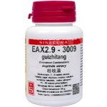Sinecura EAX2.9-3009 guizhitang 60 tablet – Hledejceny.cz