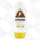 Schauma Pro-Vitamin B5 Conditioner 250 ml