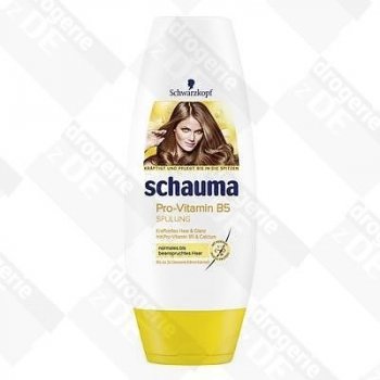 Schauma Pro-Vitamin B5 Conditioner 250 ml