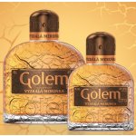 Golem Meruňka Vyzrálá 37,5% 0,5 l (holá láhev) – Zboží Dáma