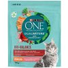 Granule pro kočky Purina ONE DualNature Sterilcat Brusinka s lososem 750 g