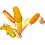 Brit Dog Dental Stick Immuno with Probiotics & Cinnamon 251 g – Sleviste.cz