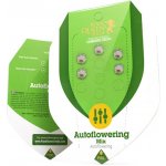 Royal Queen Seeds Autoflowering Mix semena neobsahují THC 3 ks – Zboží Dáma