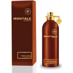 Montale Amber & Spices parfémovaná voda unisex 100 ml – Hledejceny.cz